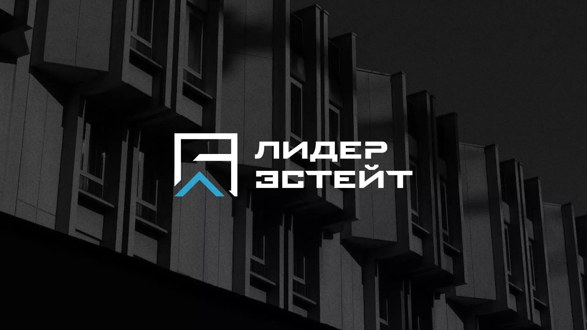 Разработка логотипа агентства недвижимости «Лидер Эстейт» в Северске